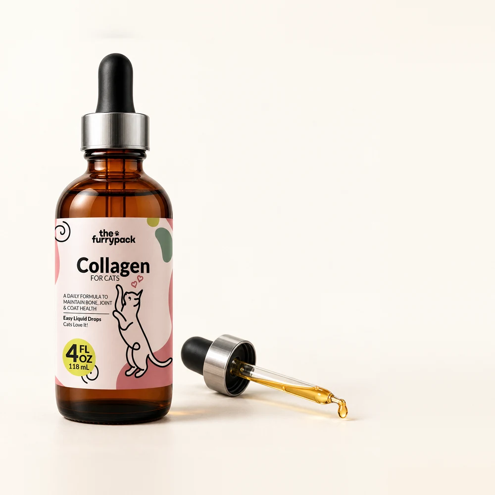 The FurryPack Collagen for Cats liquid drops bottle and dropper
