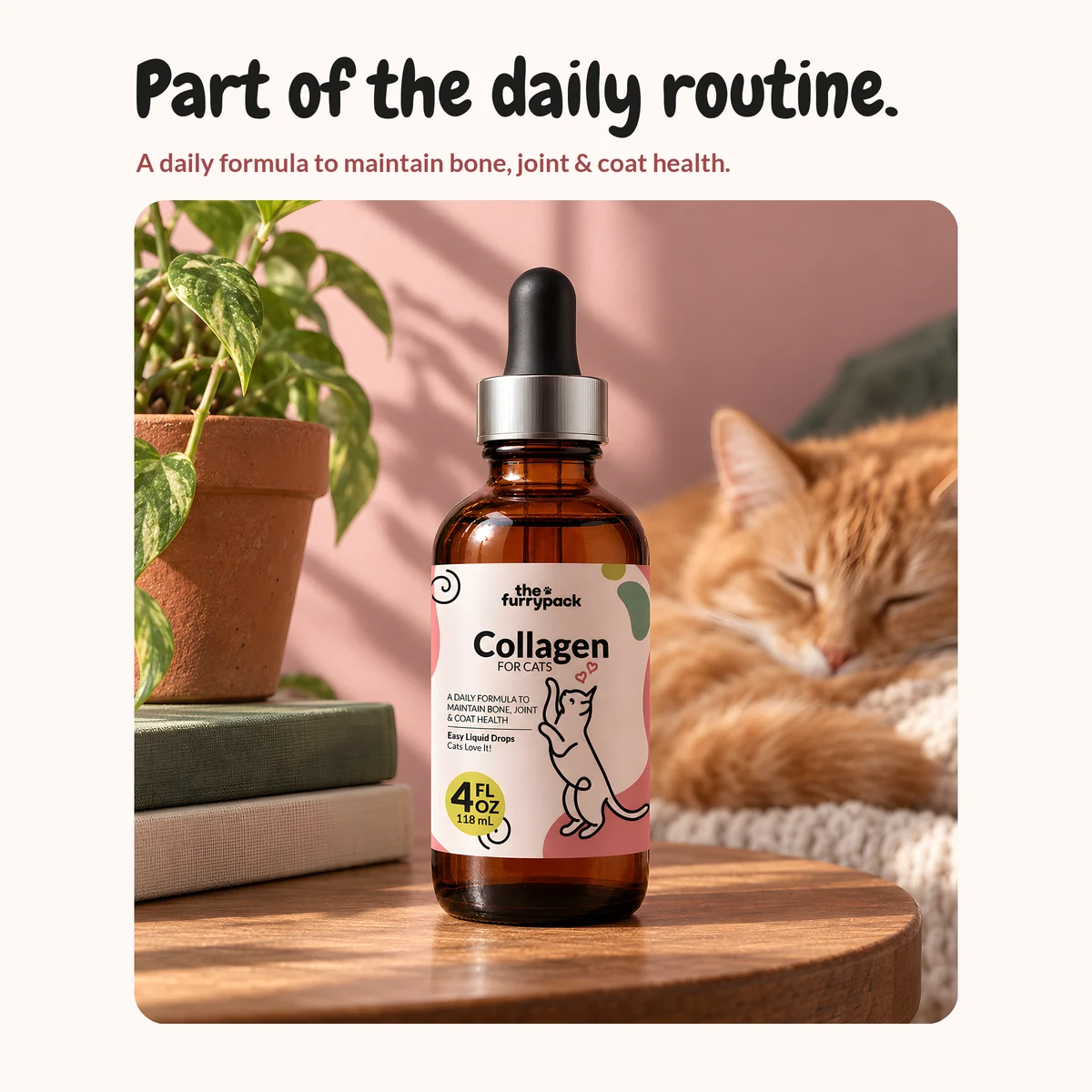 Collagen for Cats on a shelf at home, with the headline "Part of the daily routine."