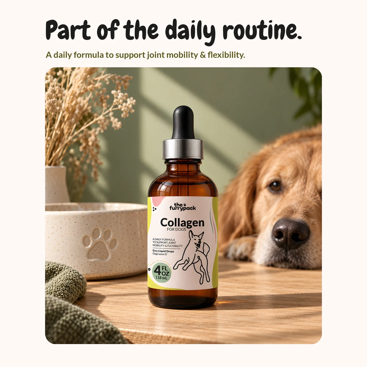Collagen for Dogs on a shelf at home, with the headline "Part of the daily routine."