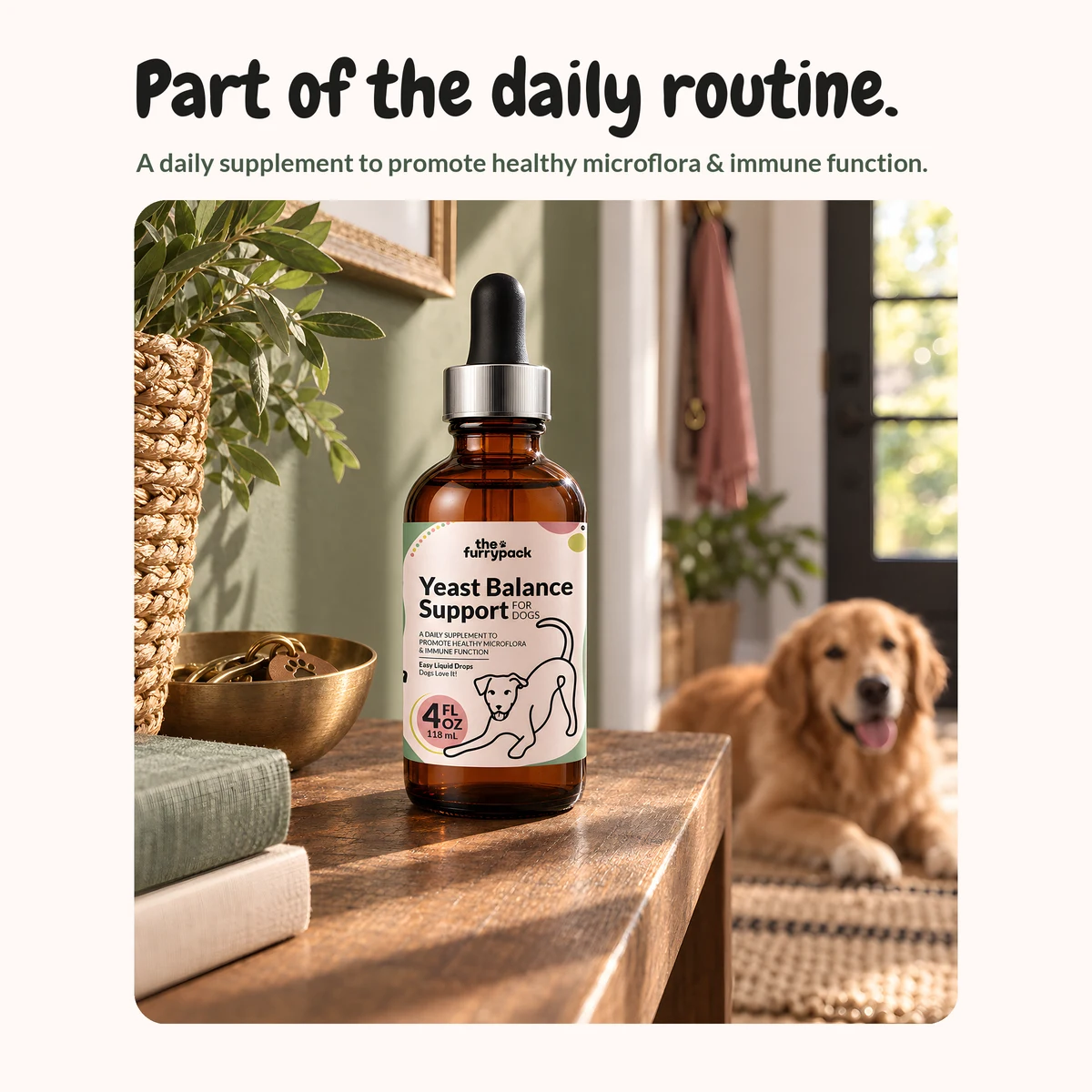 Yeast Balance for Dogs on a shelf at home, with the headline "Part of the daily routine."