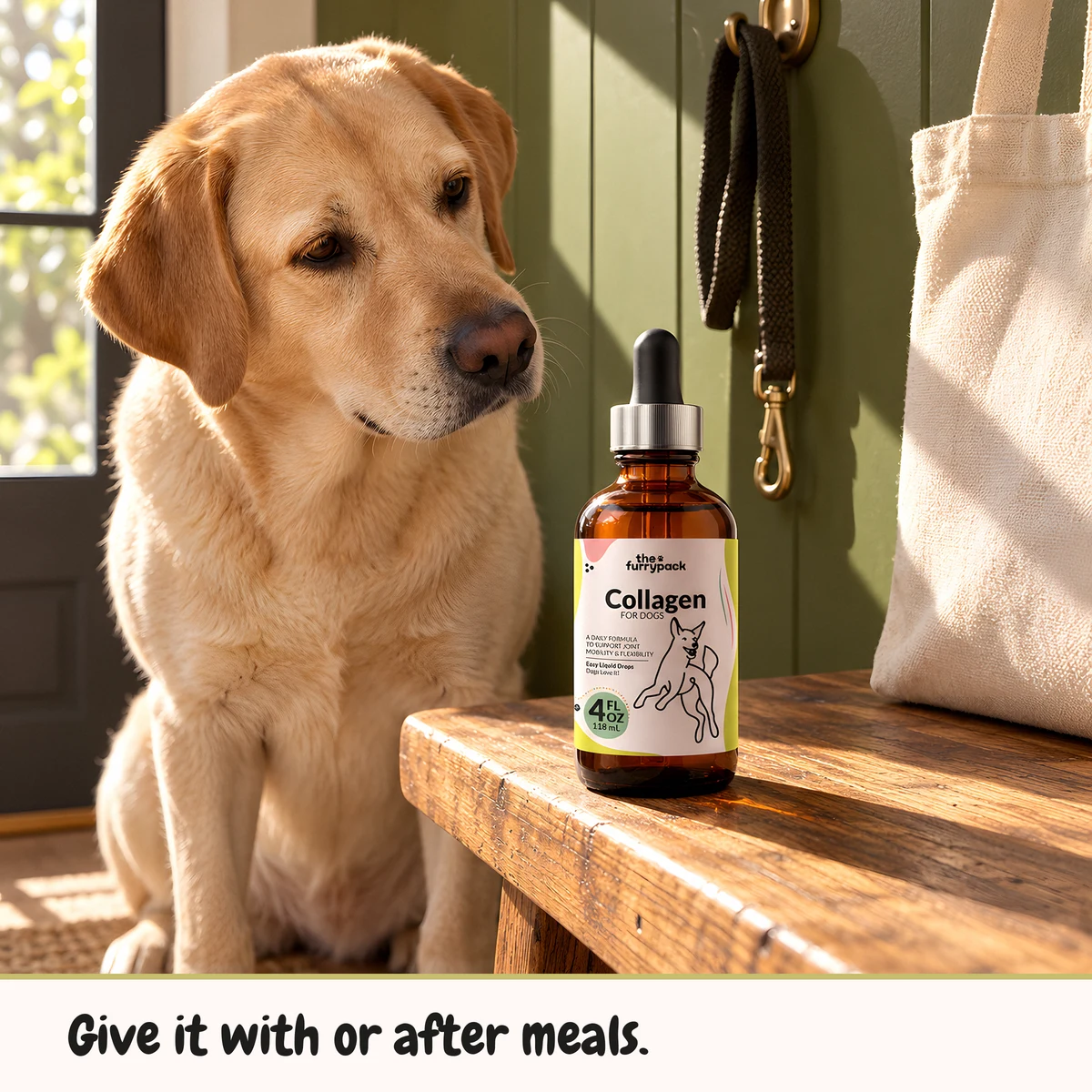 Collagen for Dogs on an entryway bench with a labrador sitting behind it, with a one-line caption